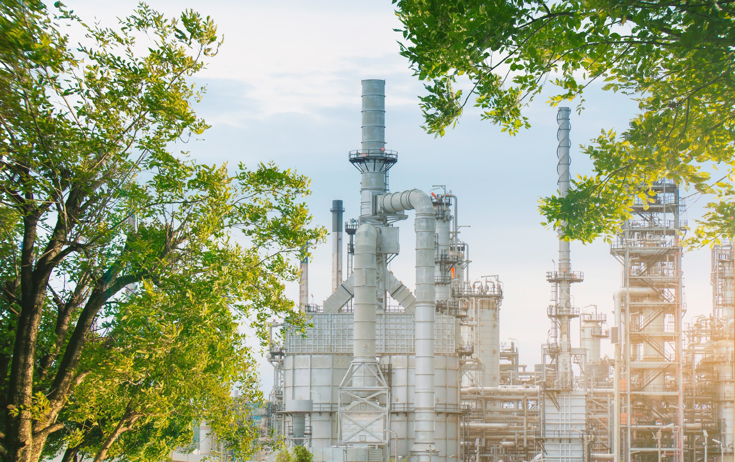 你與我共盡一份力